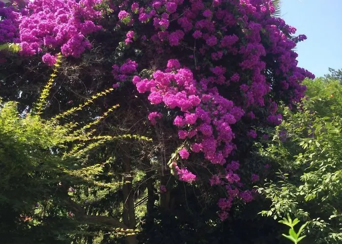 Goerkemli 4* Istanbul